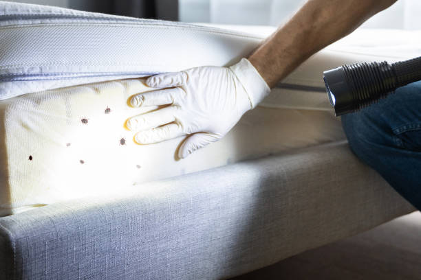 Best Affordable Pest Control Services  in Savannah, GA