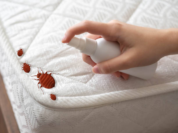 Best Local Pest Control Services  in Savannah, GA