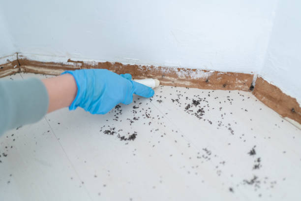 Best Pest Control for Businesses  in Savannah, GA