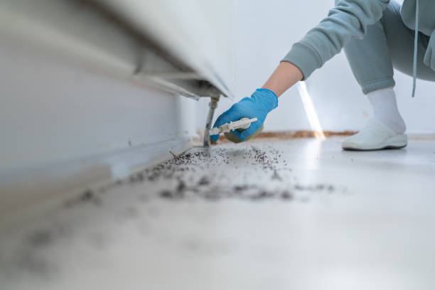 Best Residential Pest Control  in Savannah, GA