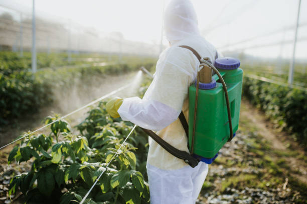 Professional Pest Control in Savannah, GA